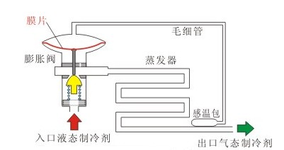 内平衡式F型热力膨胀阀结构图